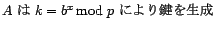 A は k=b^x mod p により鍵を生成