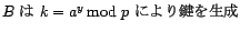 B は k=a^y mod p により鍵を生成