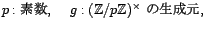 p: 素数,  g: (Ｚ/pＺ)^×の生成元　